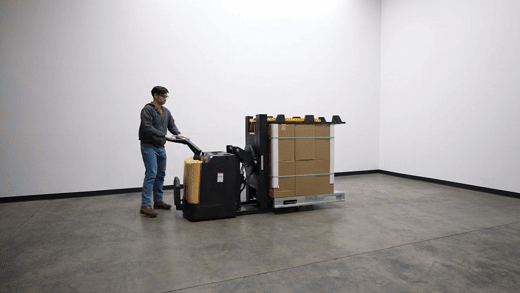 PI-P.gif