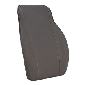 Back Support Cushion